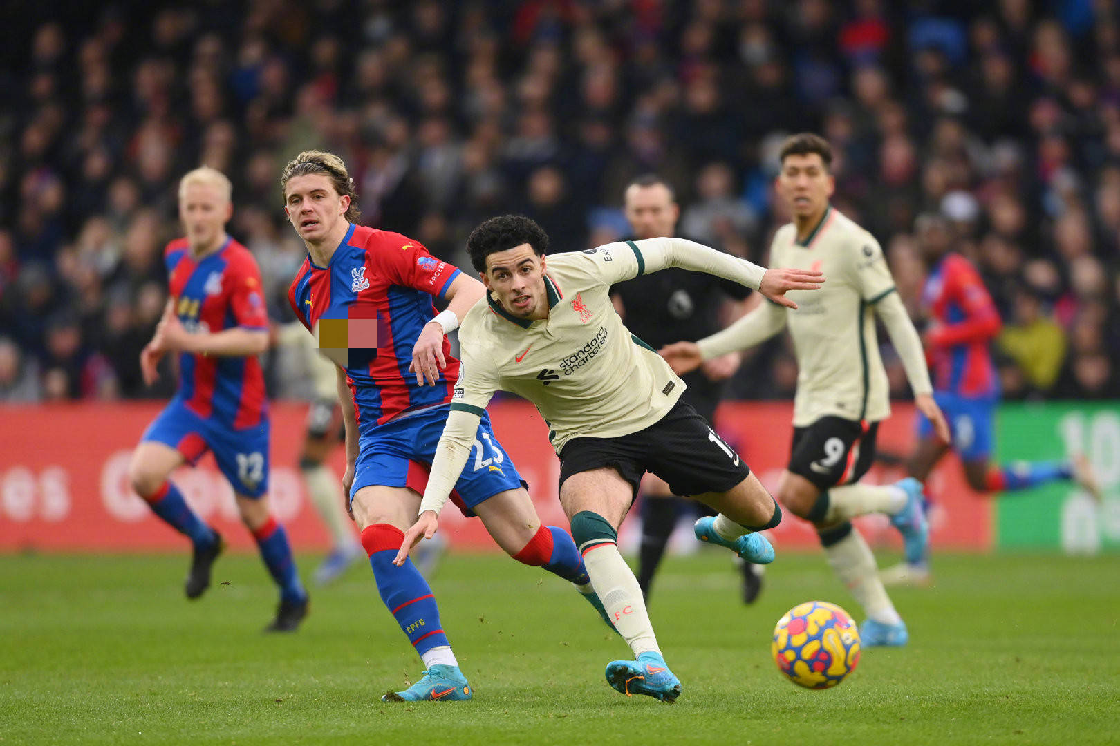 内斯的身体 内斯的身体